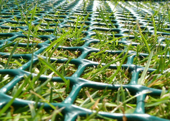 Good Quality Welded Mesh Fencing & Grass Protection Plastic Mesh , Grass Reinforcement Mesh For Pedestrians on sale