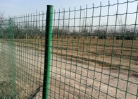 Hàng rào lưới thép phủ PVC Hà Lan Hàng rào vườn động vật Euro 2,5m