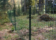 Pagar Wire Mesh Belanda Dilapisi PVC Pagar Taman Hewan Euro 2.5m