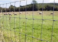 Grillage fixe de bétail de noeud clôturant la taille de 1030mm pour la protection