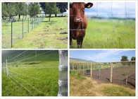 Naprawiono ogrodzenie z siatki drucianej dla bydła o wysokości 1030 mm dla ochrony