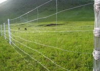 سياج شبكة سلكية للأراضي العشبية 1150 مم مع عقدة ثابتة مغلفنة بالغمس الساخن