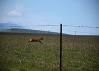 Hàng rào lưới thép 0,7m-2,0m Hàng rào ngựa và gia súc trên đồng cỏ với Y T Post