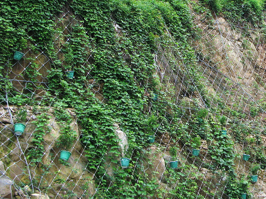 buy Diamond Hole Rockfall Protection Netting Barrier ISO 14001 Certification online manufacturer