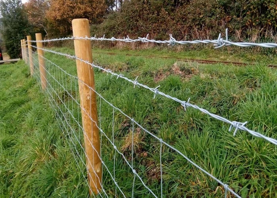 Çiftlik için kolay kurulum sıcak daldırma galvanizli dikenli tel çit